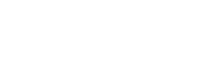 The Leptons